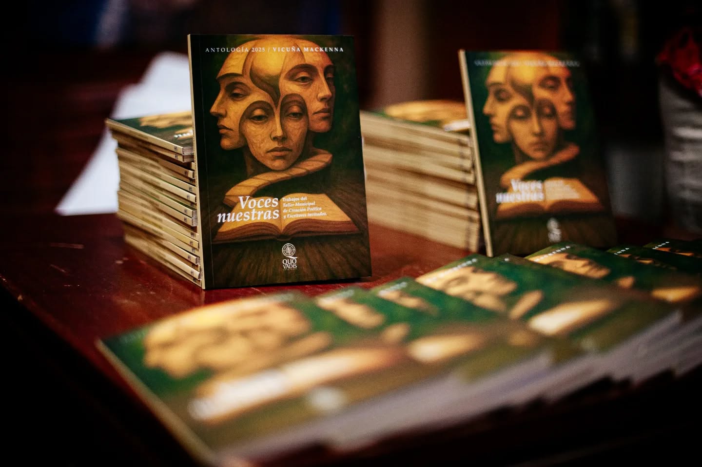 Voces Nuestras: Libro de Poetas de Vicuña Mackenna